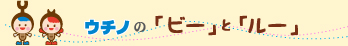 ウチノの「ビー」と「ルー」